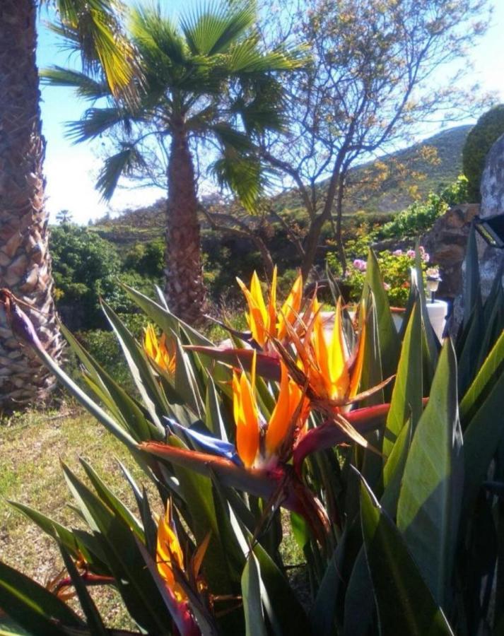 La Casita Ma Petite Folie Tenerife Santa Cruz de Tenerife Eksteriør billede