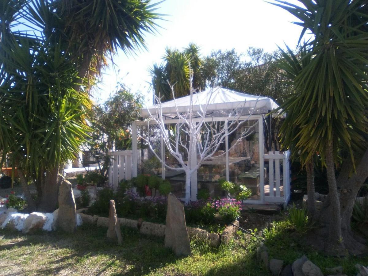 La Casita Ma Petite Folie Tenerife Santa Cruz de Tenerife Eksteriør billede