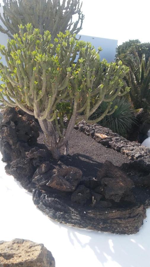 La Casita Ma Petite Folie Tenerife Santa Cruz de Tenerife Eksteriør billede